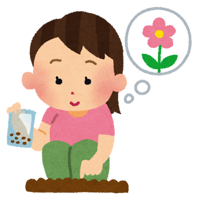 フウセンカズラを栽培したい方必見 育て方を紹介 Japan Treasure Media Search